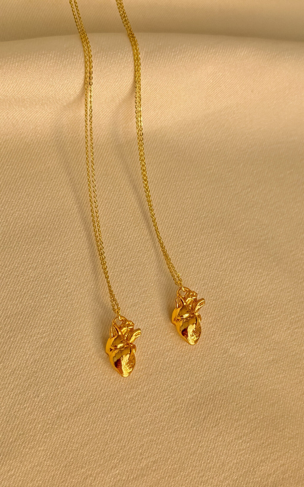 ANATOMIC CHAIN