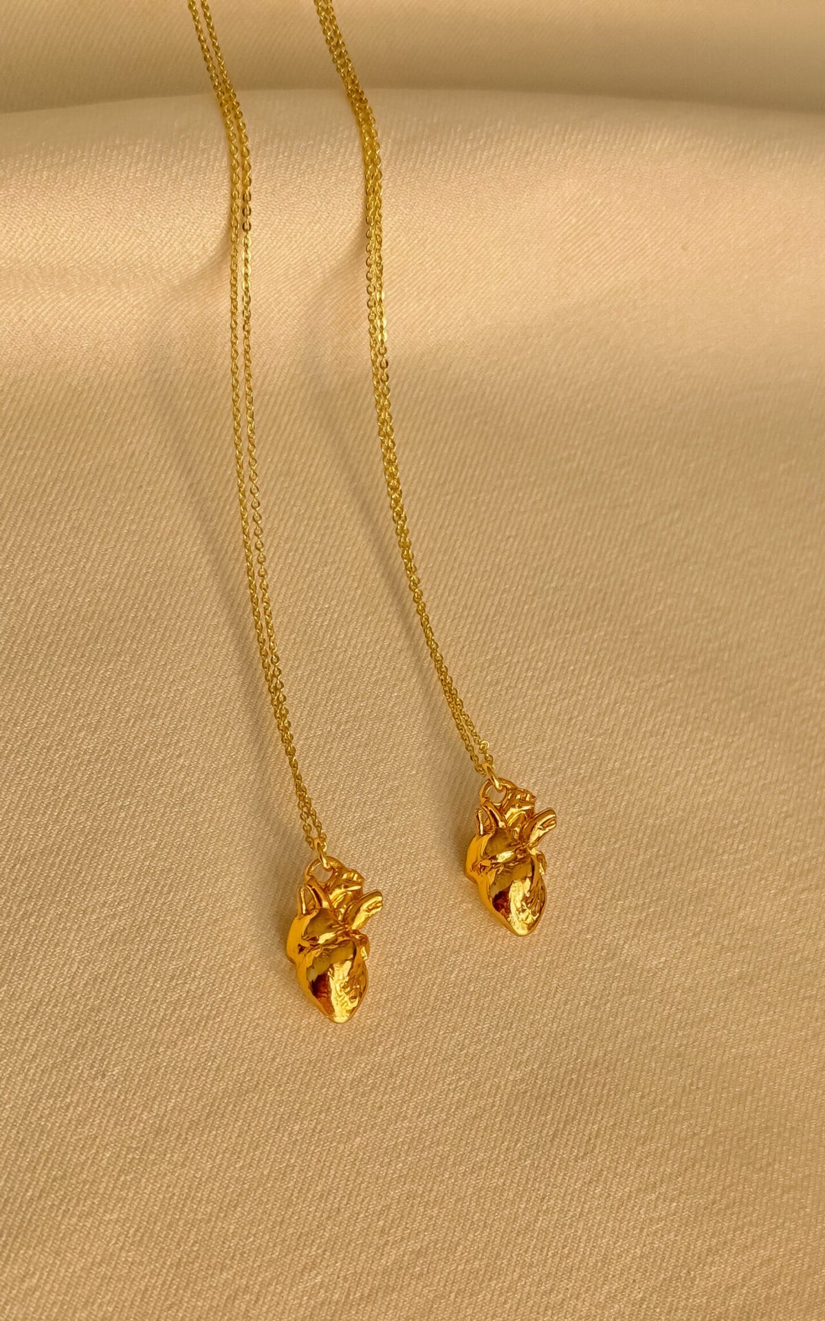 ANATOMIC CHAIN