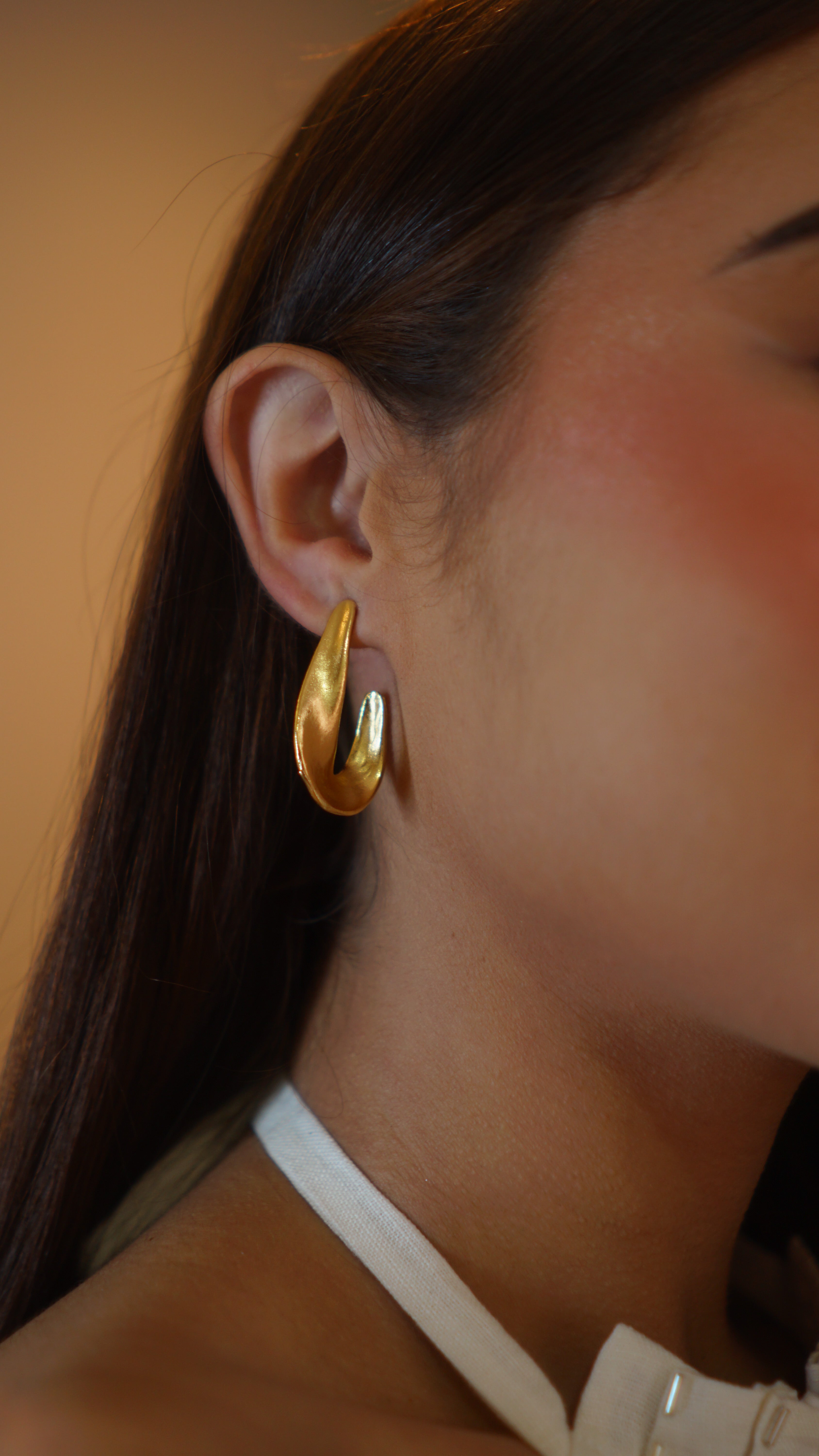 BRAVE HOOPS